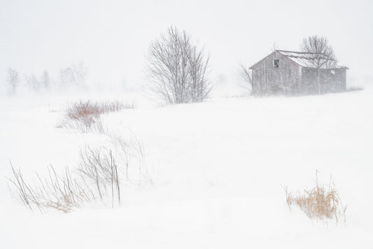 Barn in the Blizzard