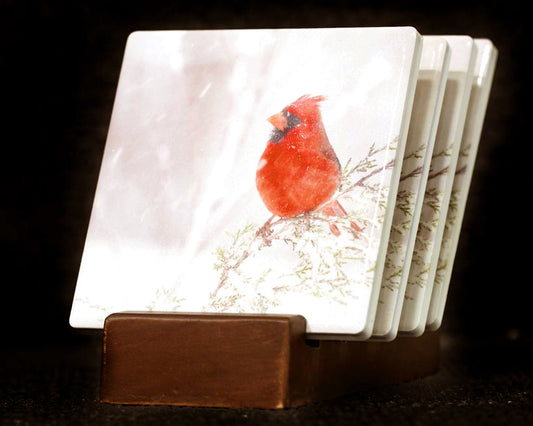 Cardinals in the Snow